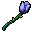Błękitna Róża.gif
