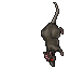 Plik:Przerośnięty Szczur.gif