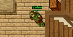Plik:Robin.jpg